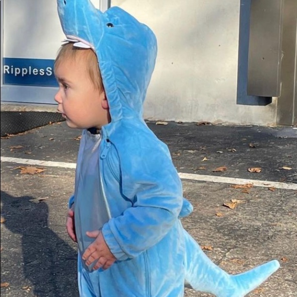 Shark Costume (Toddler)
